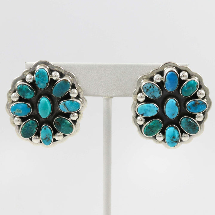 Blue Gem Turquoise Earrings by Noah Pfeffer - Garland's