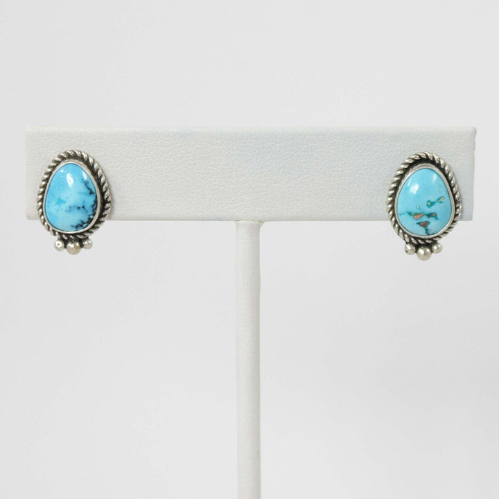Golden Hills Turquoise Earrings by Art Platero - Garland's