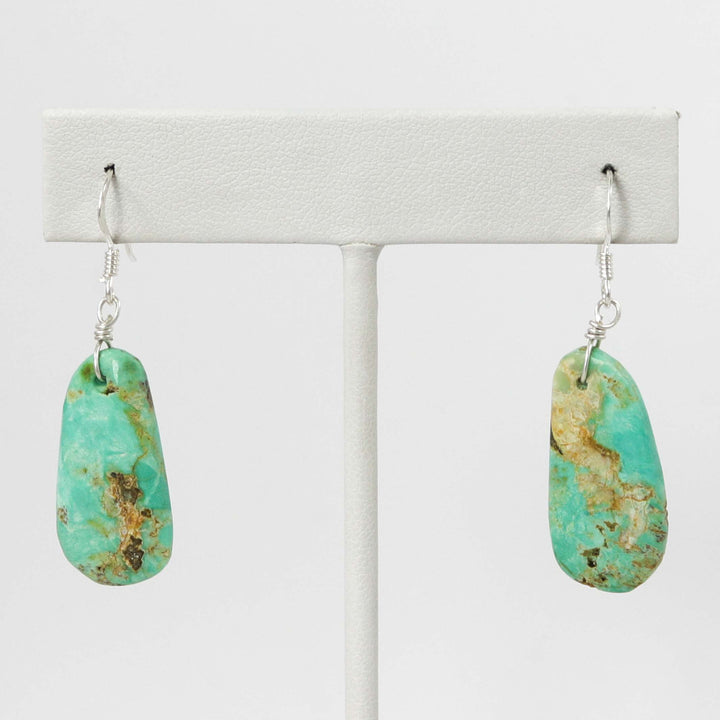 Crescent Valley Turquoise Earrings