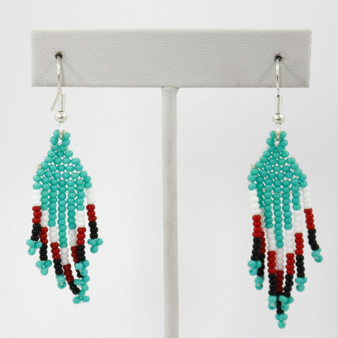 Beaded Necklace and Earring Set