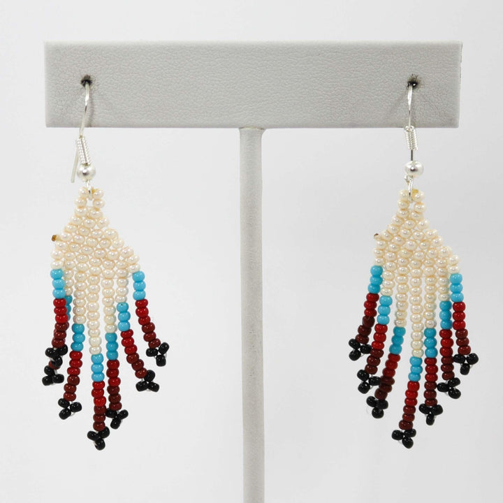 Beaded Necklace and Earring Set