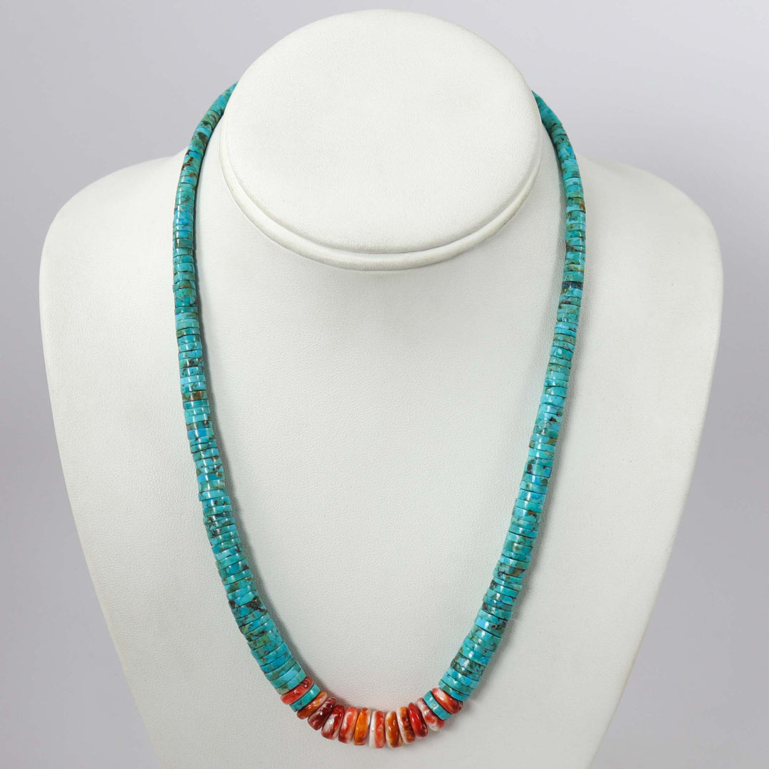 Turquoise and Spiny Necklace